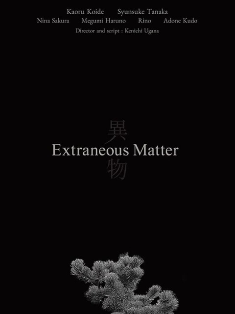 Extraneous Matter - Complete Edition