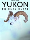 Yukon : un rêve blanc