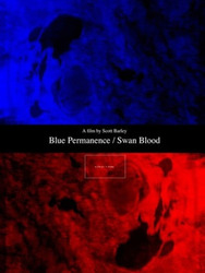 Blue Permanence / Swan Blood