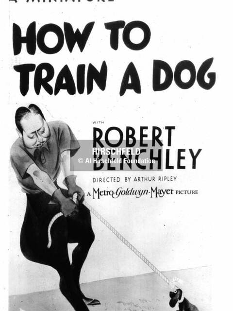 How to Train a Dog