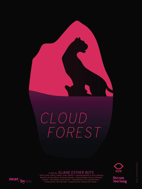 Cloud Forest