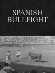 Spanish Bullfight