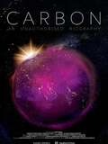 L'Histoire secrète du carbone