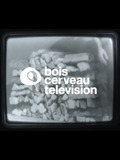 BOIS CERVEAU TV (1)