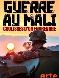 Guerre au Mali : coulisses d'un engrenage