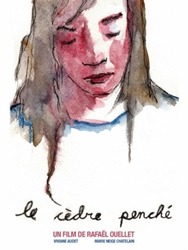 Le cèdre penché