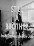 Still A Brother: Inside the Negro Middle Class