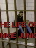 The Story of Junkie Junior