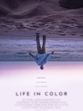 La vie en couleur