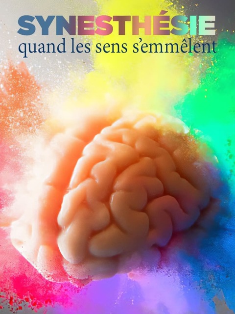 Synesthésie, quand les sens s‘emmêlent