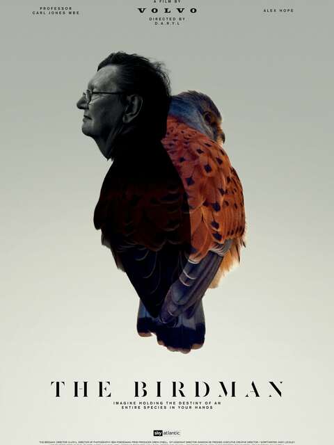 The Birdman