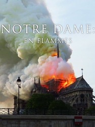 Pompiers de Paris : Sauver Notre-Dame