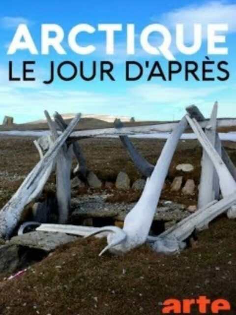 Arctique – Le jour d'après