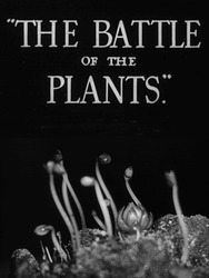 The Battle of the Plants
