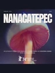 Nanacatepec