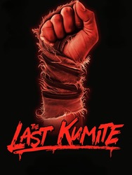 The Last Kumite