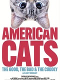 American Cats: The Good, the Bad, and the Cuddly