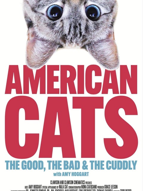 American Cats: The Good, the Bad, and the Cuddly