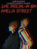 The Break-In On Amelia Street