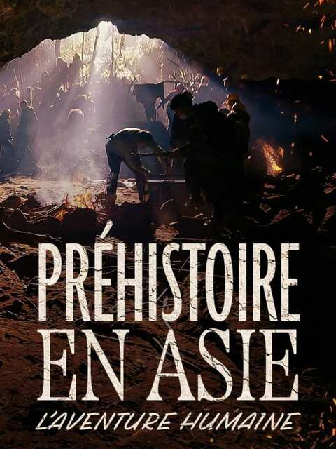 Préhistoire en Asie : L'Aventure humaine