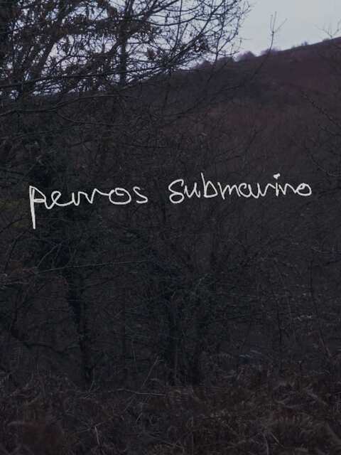 Perros submarino