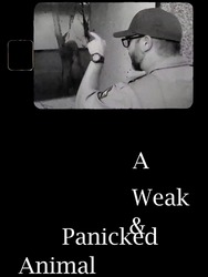 A Weak & Panicked Animal