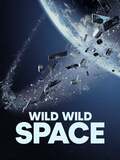 Wild Wild Space