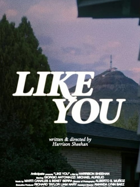 Like You