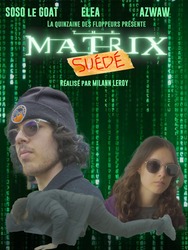 The Matrix : Suédé