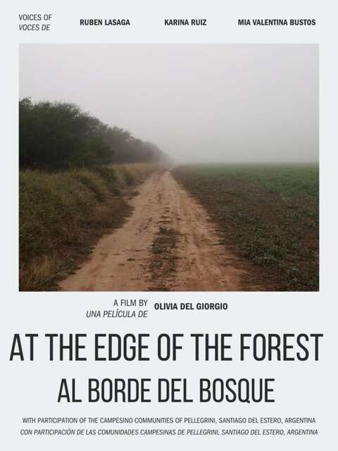 Al borde del bosque