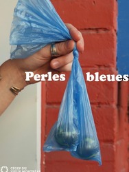 Perles Bleues