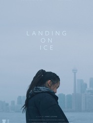 Landing On Ice