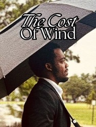 The Cost of Wind