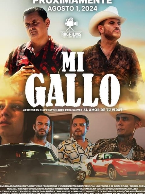 Mi Gallo