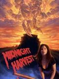 Midnight Harvest