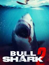 Bull Shark 2