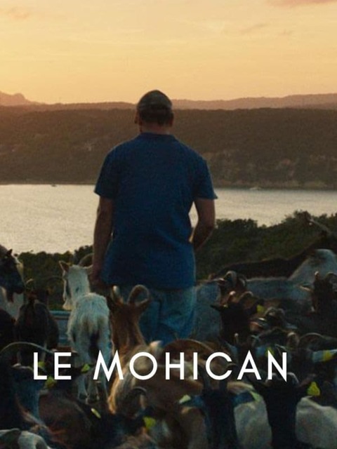 Le Mohican