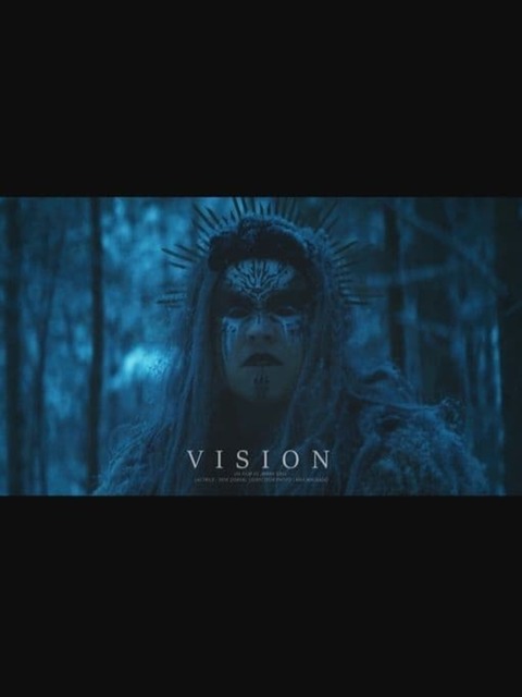 Vision