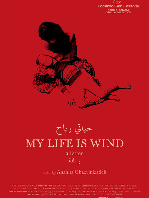 My Life is Wind (a letter)