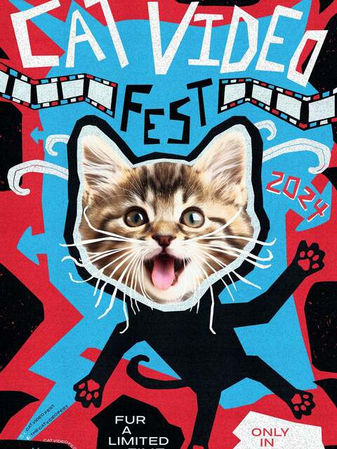 CatVideoFest 2024