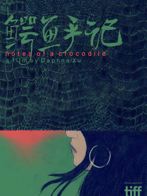 Notes of a Crocodile