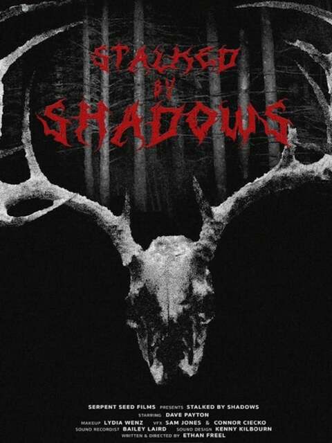 Stalked by Shadows