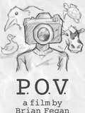 P.O.V.