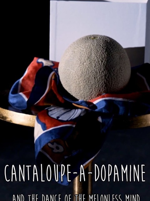 Cantaloupe-a-dopamine and the Dance of the Melonless Mind