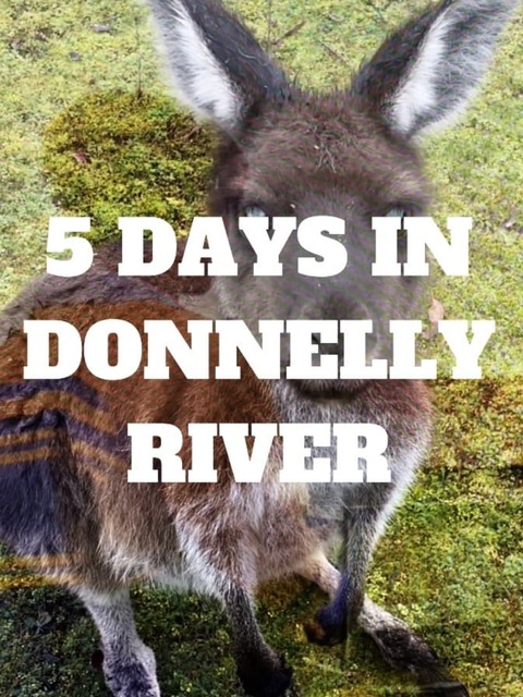 5 Days In Donnelly River