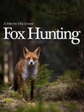 Fox Hunting