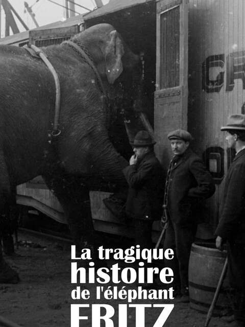 La Tragique Histoire de Fritz l'éléphant