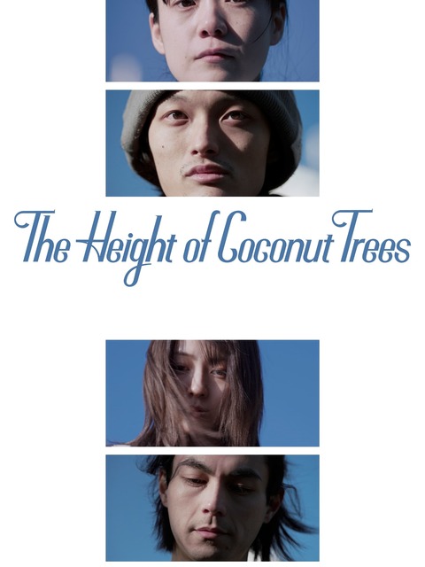 The Height of the Coconut Trees