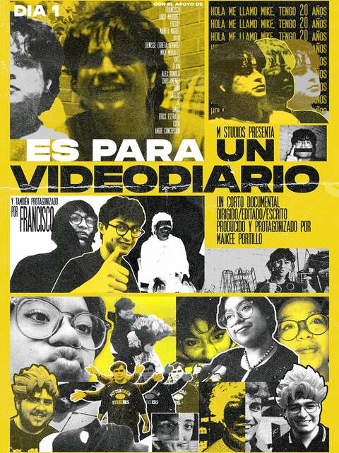 Es Para Un Videodiario