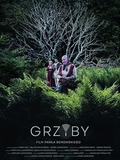 Grzyby